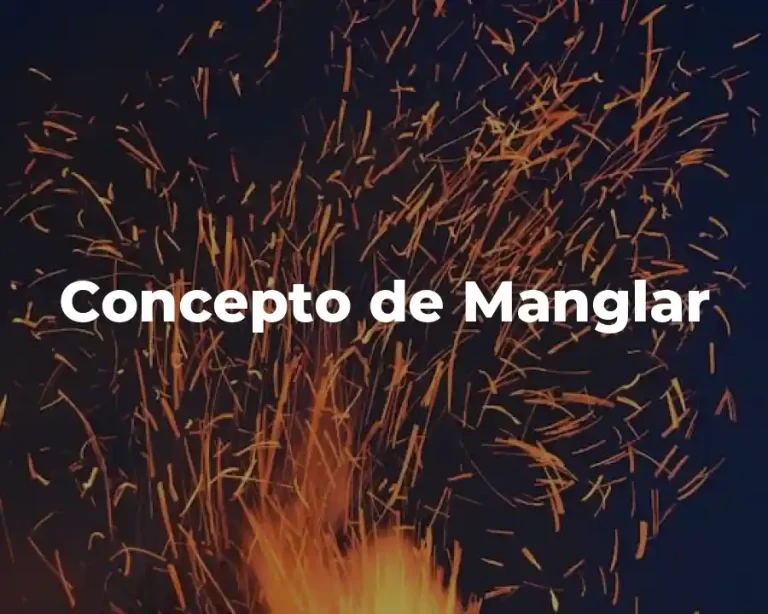 Concepto de Manglar
