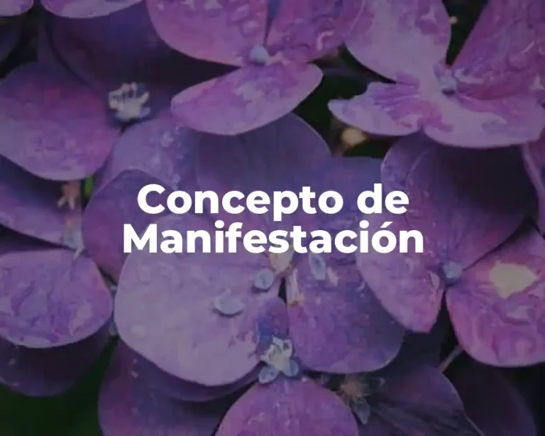 Concepto de Manifestación