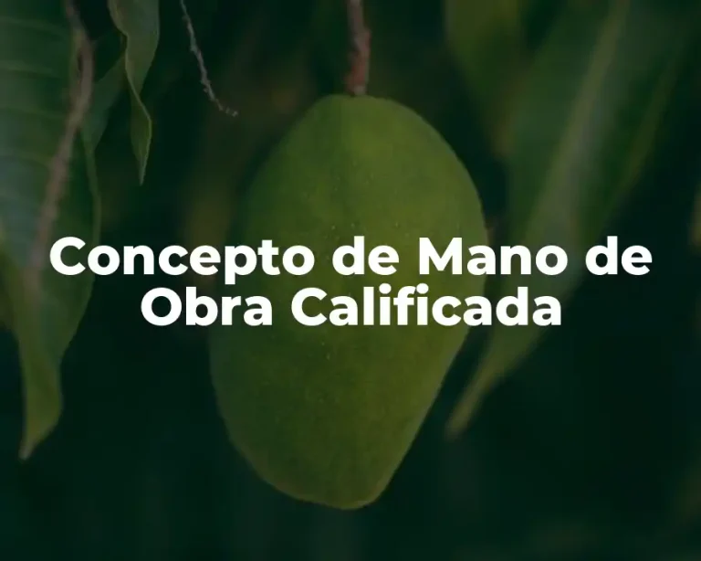 Concepto de Mano de Obra Calificada
