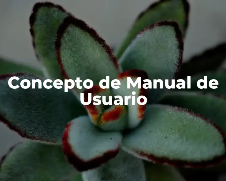 Concepto de Manual de Usuario