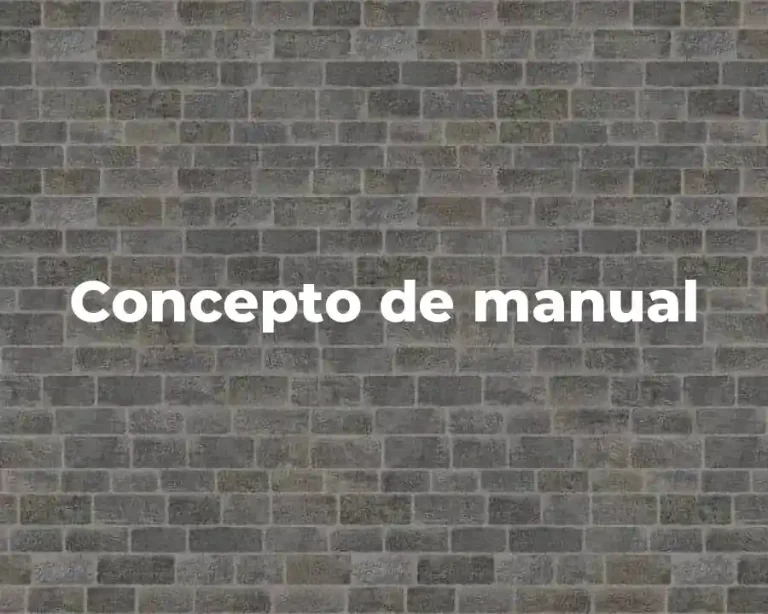 Concepto de manual