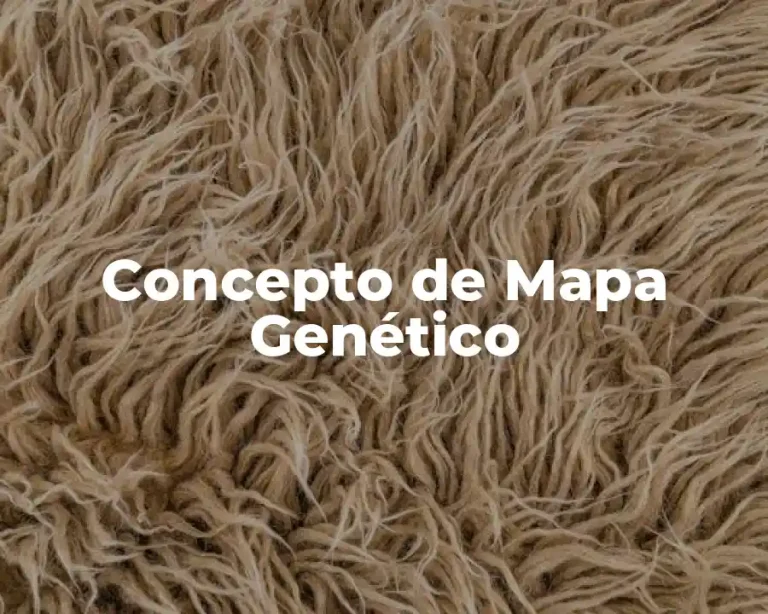 Concepto de Mapa Genético