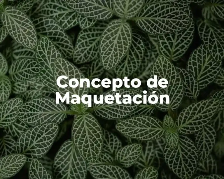 Concepto de Maquetación
