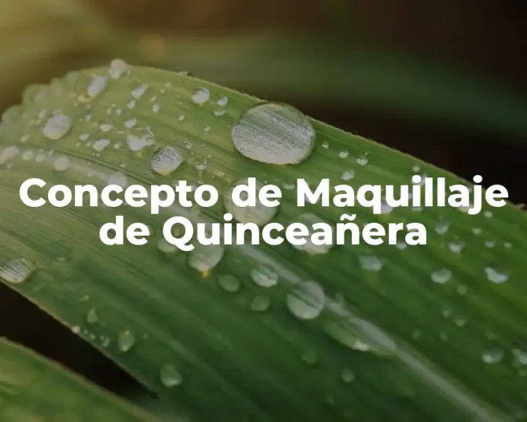 Concepto de Maquillaje de Quinceañera