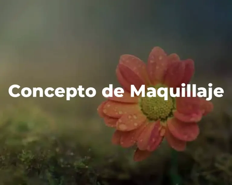 Concepto de Maquillaje