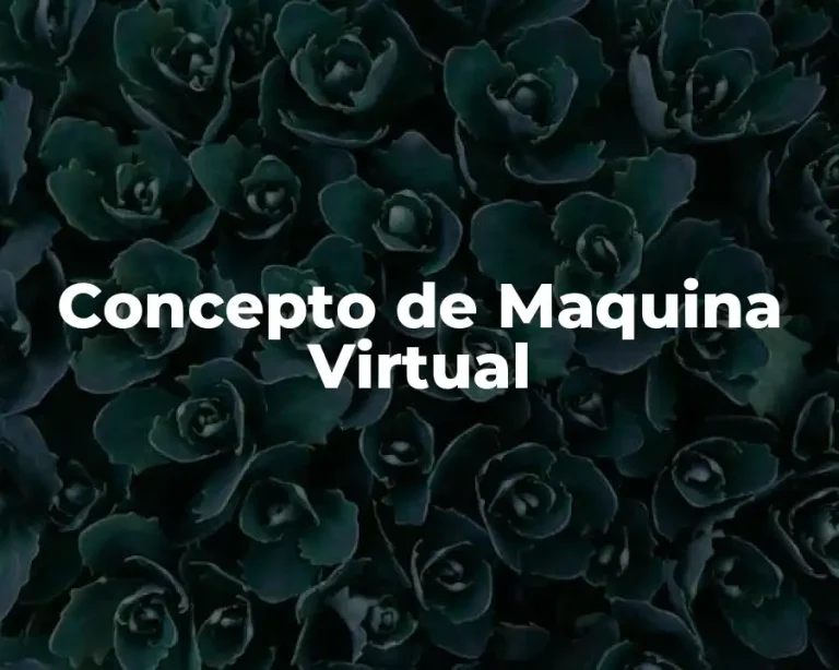 Concepto de Maquina Virtual