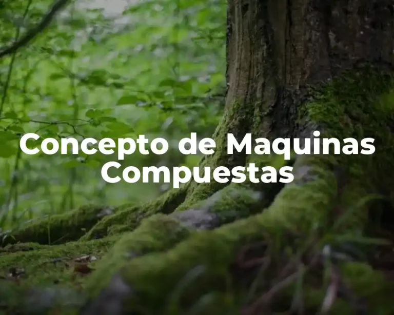 Concepto de Maquinas Compuestas