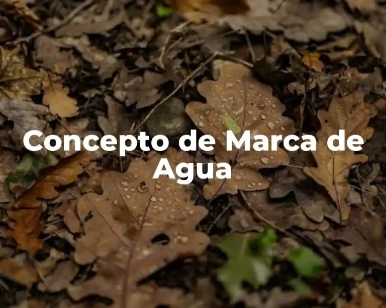 Concepto de Marca de Agua