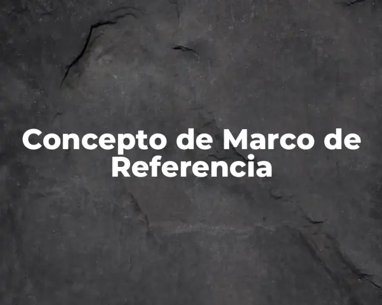 Concepto de Marco de Referencia