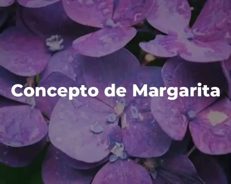 Concepto de Margarita