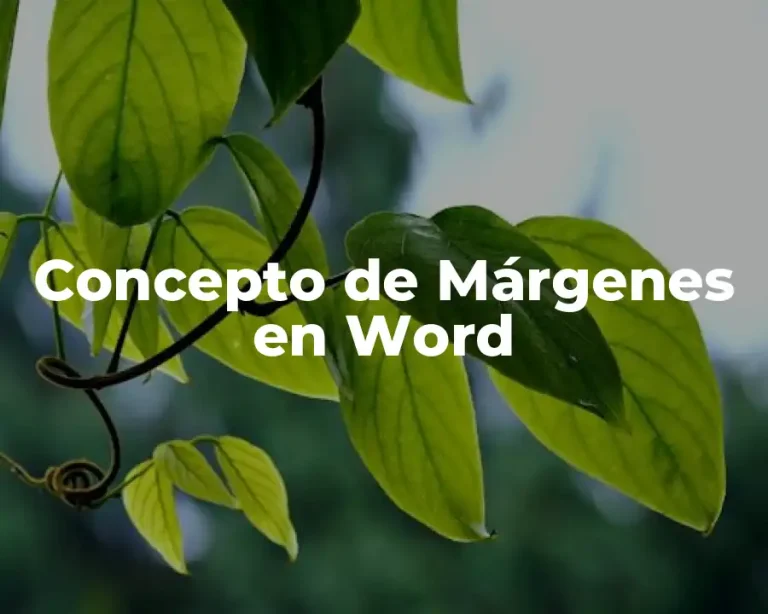Concepto de Márgenes en Word