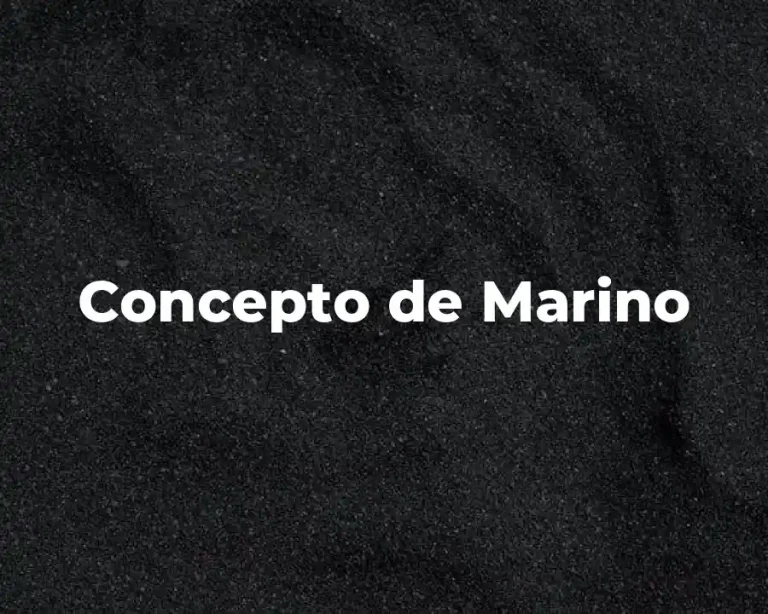 Concepto de Marino