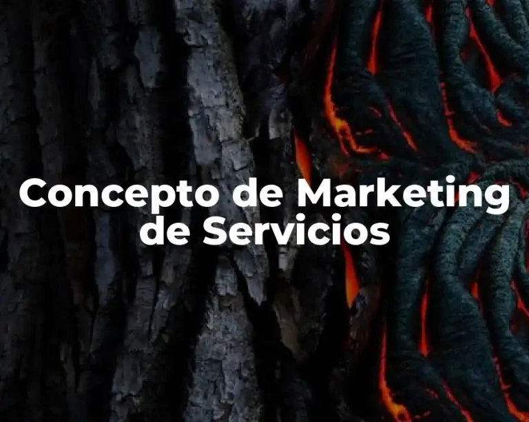 Concepto de Marketing de Servicios