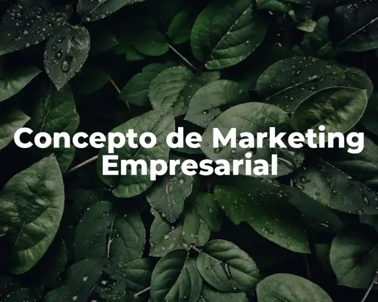 Concepto de Marketing Empresarial