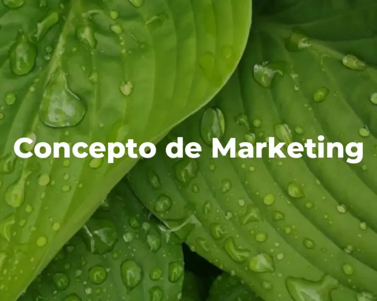 Concepto de Marketing