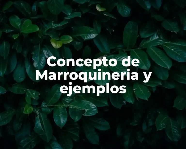 Concepto de Marroquineria y ejemplos
