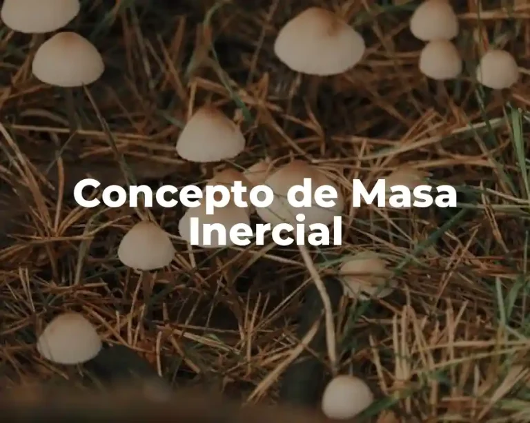 Concepto de Masa Inercial