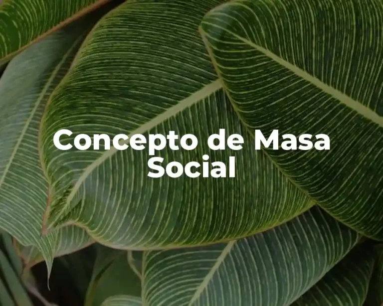 Concepto de Masa Social