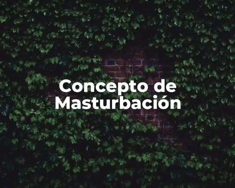 Concepto de Masturbación