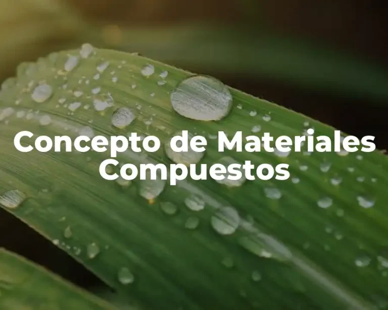 Concepto de Materiales Compuestos