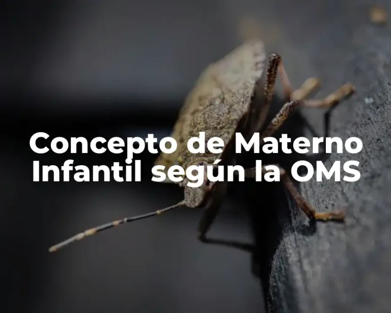 Concepto de Materno Infantil según la OMS