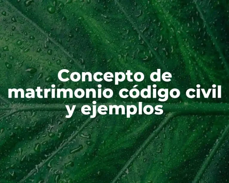 Concepto de matrimonio código civil y ejemplos