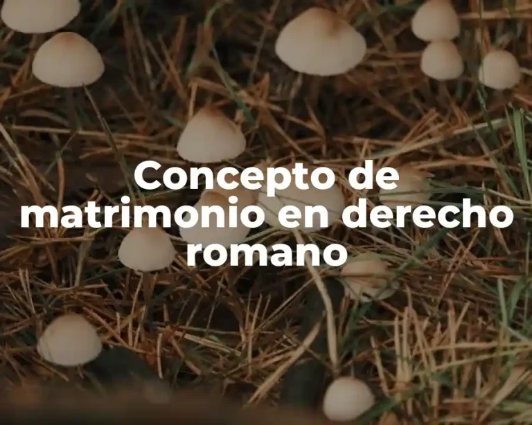 Concepto de matrimonio en derecho romano