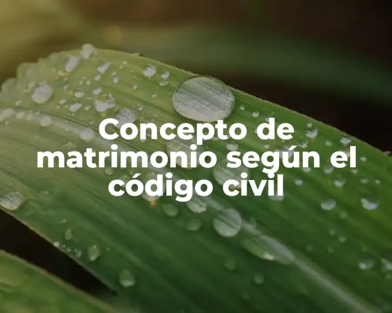 Concepto de matrimonio según el código civil