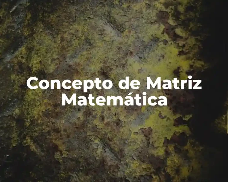 Concepto de Matriz Matemática