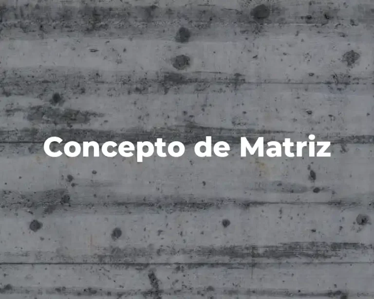 Concepto de Matriz