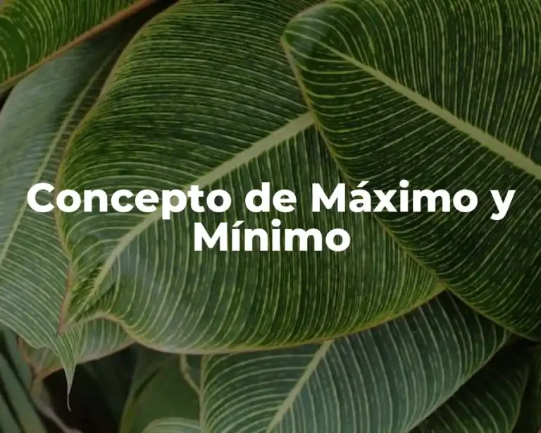 Concepto de Máximo y Mínimo