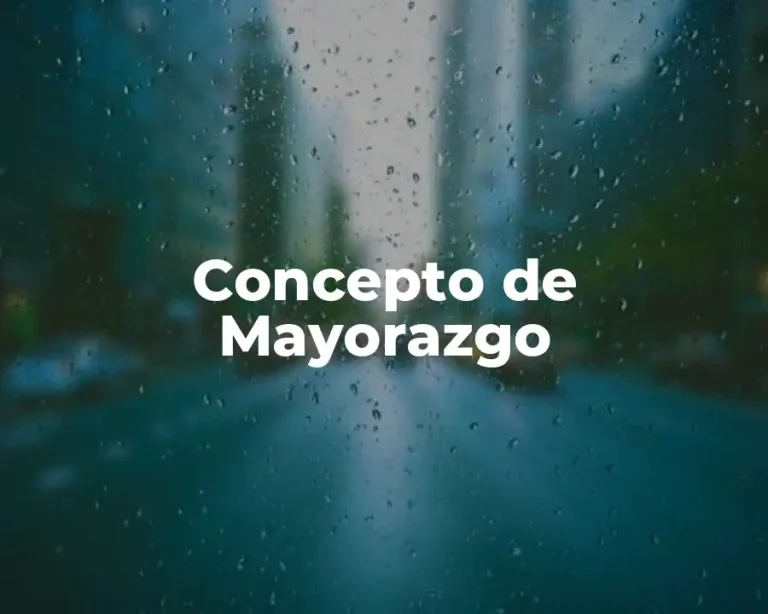 Concepto de Mayorazgo