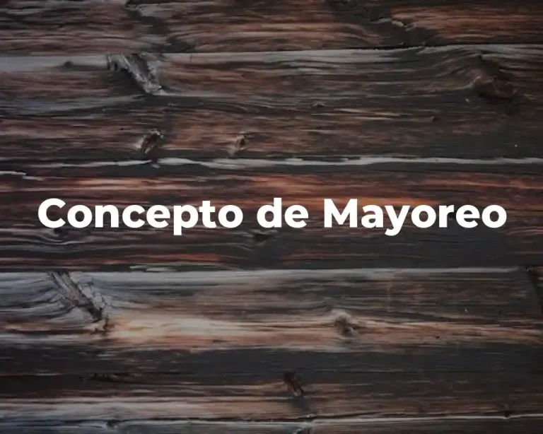 Concepto de Mayoreo