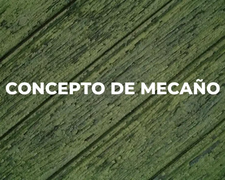 CONCEPTO DE MECAÑO