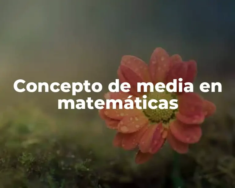 Concepto de media en matemáticas