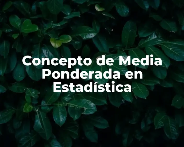 Concepto de Media Ponderada en Estadística