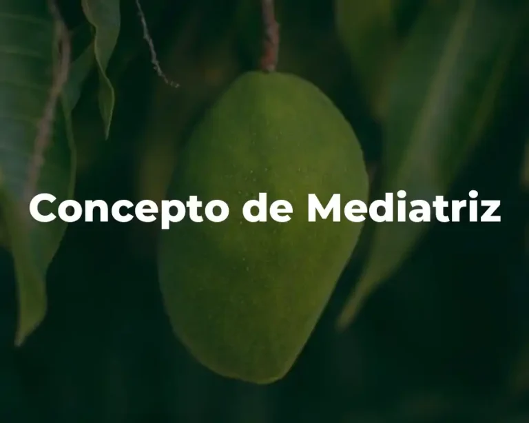 Concepto de Mediatriz