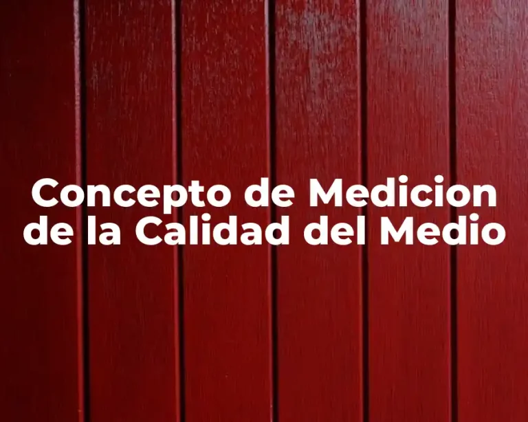 Concepto de Medicion de la Calidad del Medio