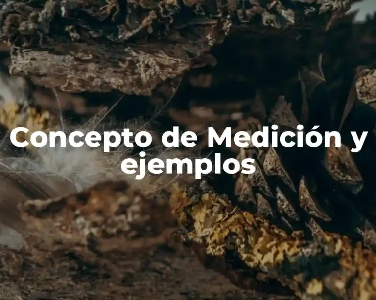 Concepto de Medición y ejemplos