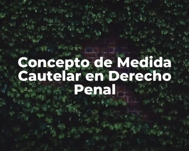 Concepto de Medida Cautelar en Derecho Penal