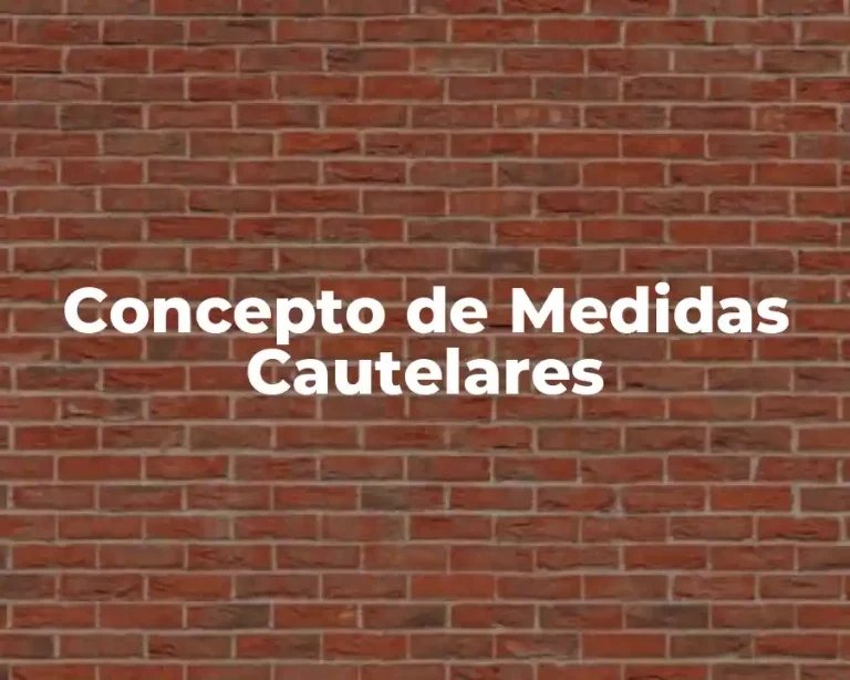 Concepto de Medidas Cautelares