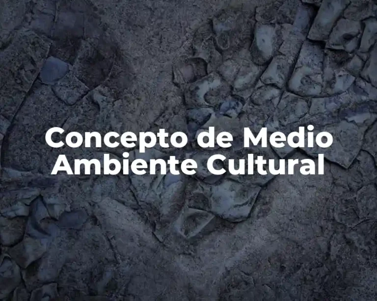 Concepto de Medio Ambiente Cultural