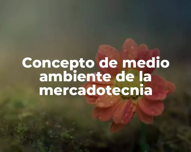 Concepto de medio ambiente de la mercadotecnia