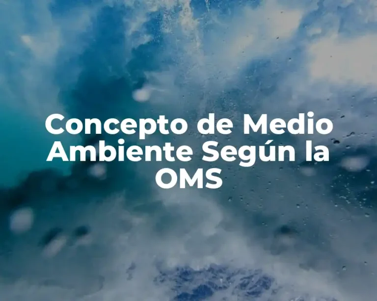 Concepto de Medio Ambiente Según la OMS