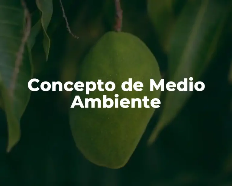 Concepto de Medio Ambiente