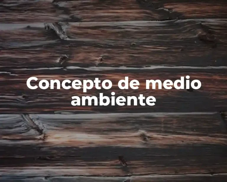Concepto de medio ambiente