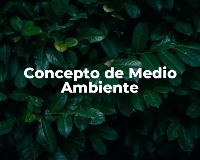 Concepto de Medio Ambiente