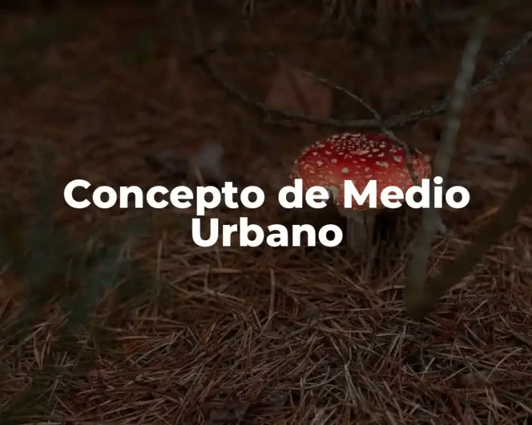 Concepto de Medio Urbano