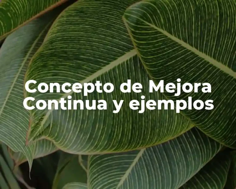 Concepto de Mejora Continua y ejemplos