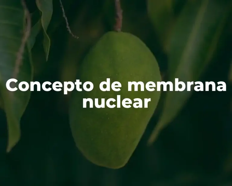Concepto de membrana nuclear